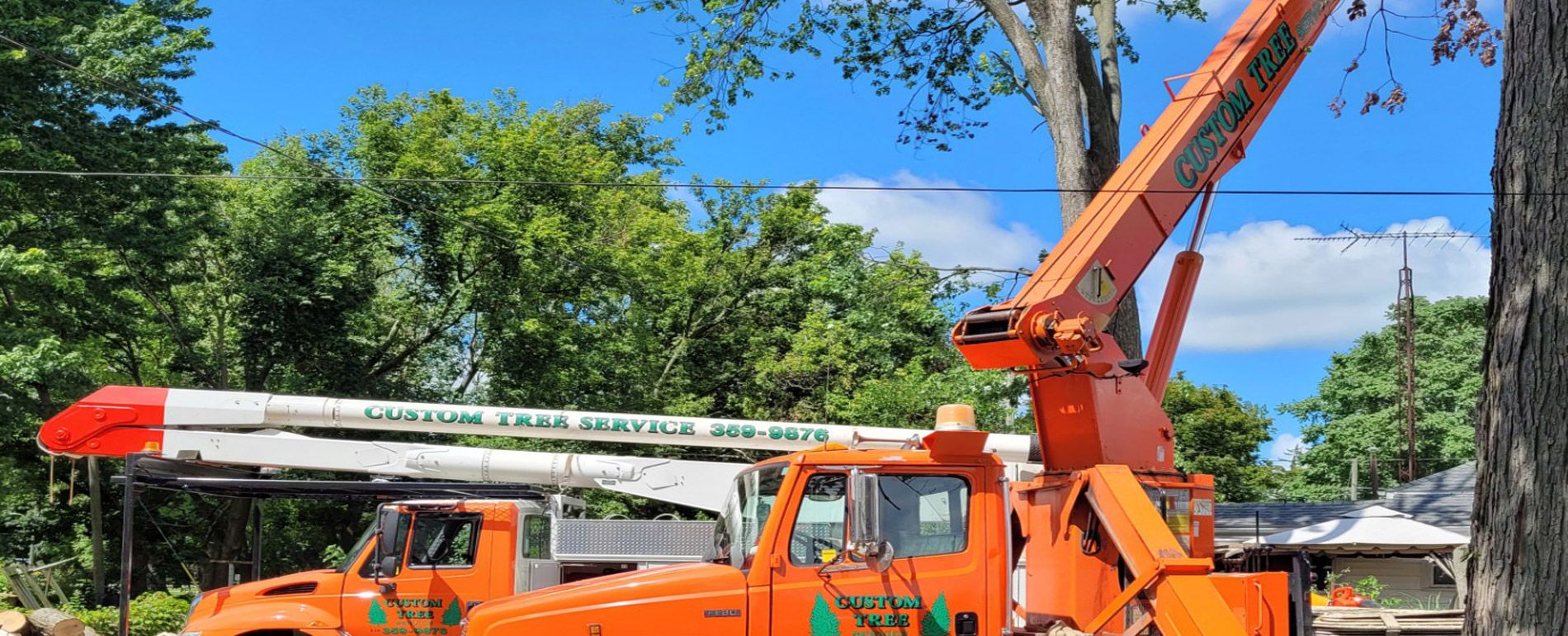 Tree Crane Services